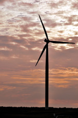 Ulm | Baden-Wuerttemberg, Germany